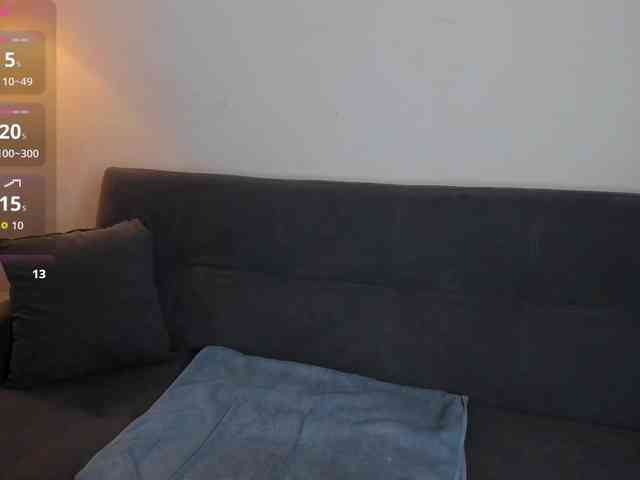 MariaSim webcam