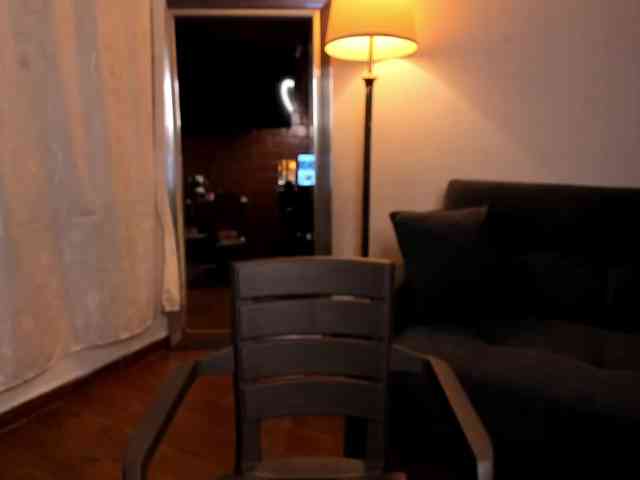 MariaSim webcam