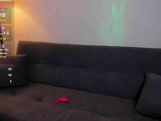 MariaSim webcam
