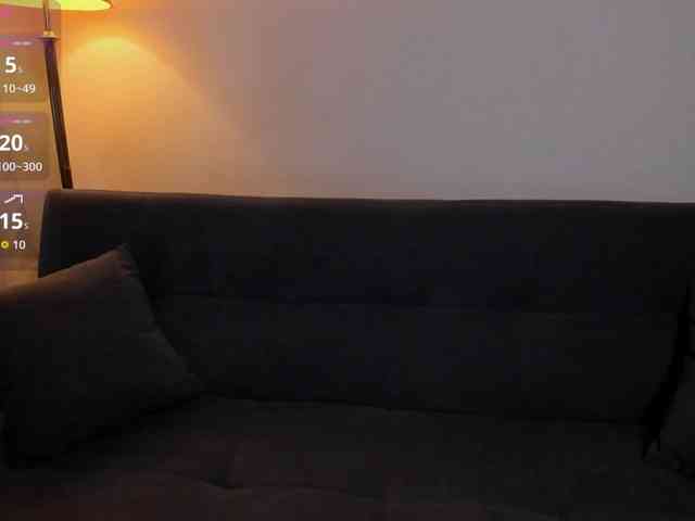 MariaSim webcam