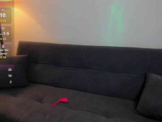 MariaSim webcam