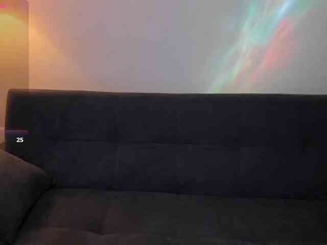 MariaSim webcam