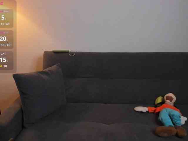 MariaSim webcam
