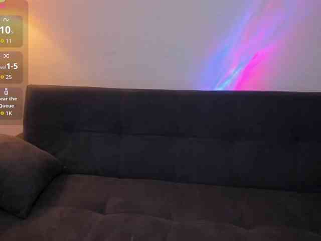 MariaSim webcam
