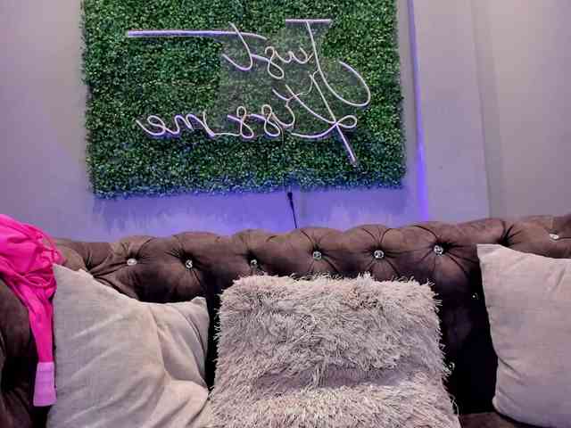 MariaSim webcam