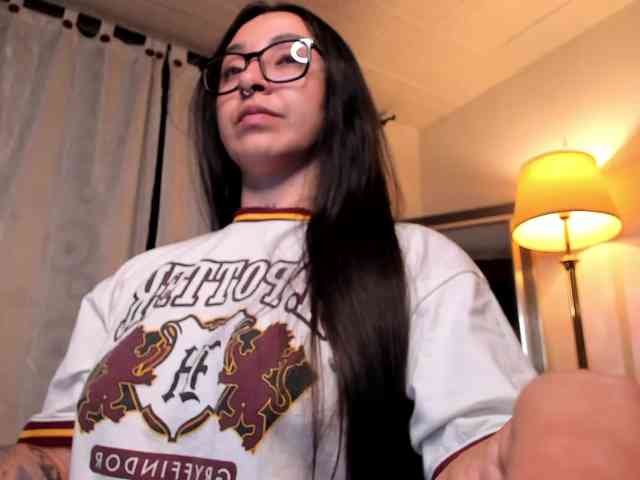 MariaSim webcam