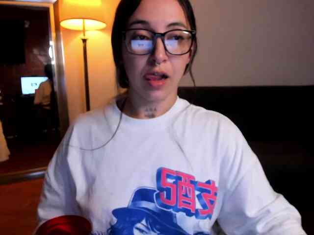 MariaSim webcam