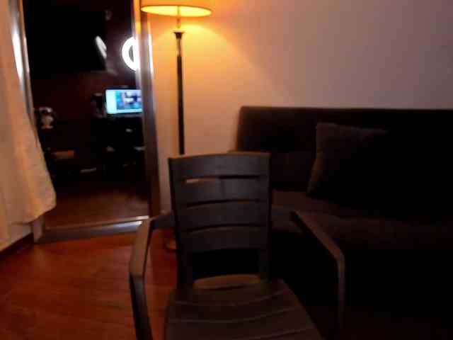 MariaSim webcam