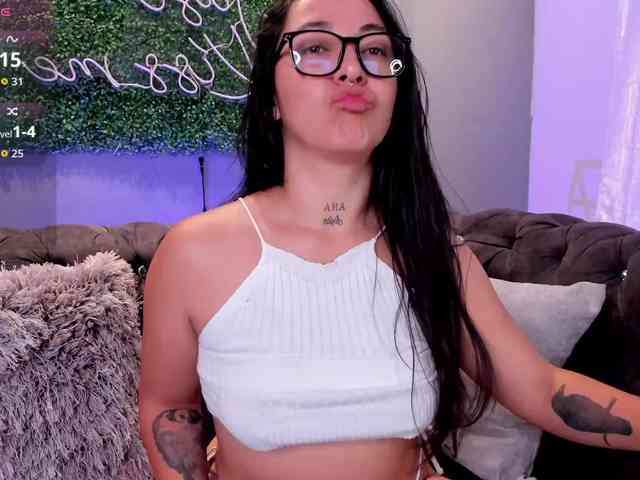 MariaSim webcam