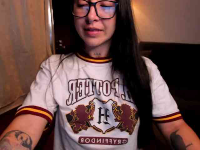MariaSim webcam