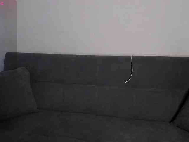 MariaSim webcam