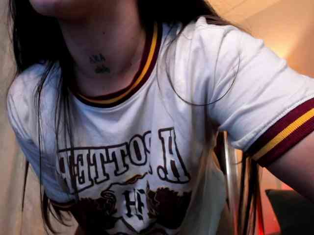 MariaSim webcam