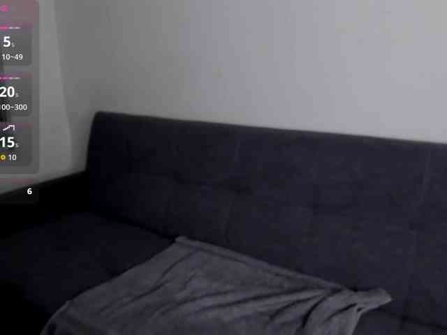 MariaSim webcam