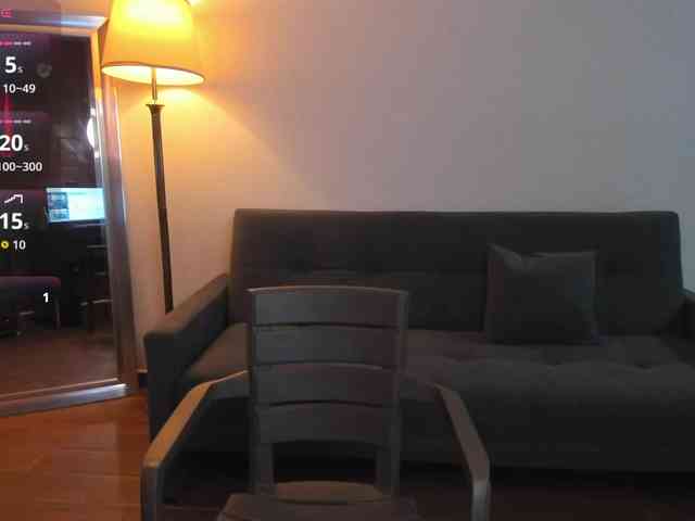 MariaSim webcam