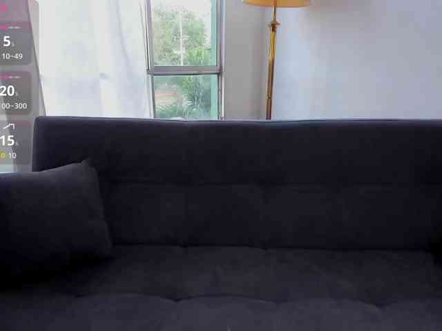 MariaSim webcam