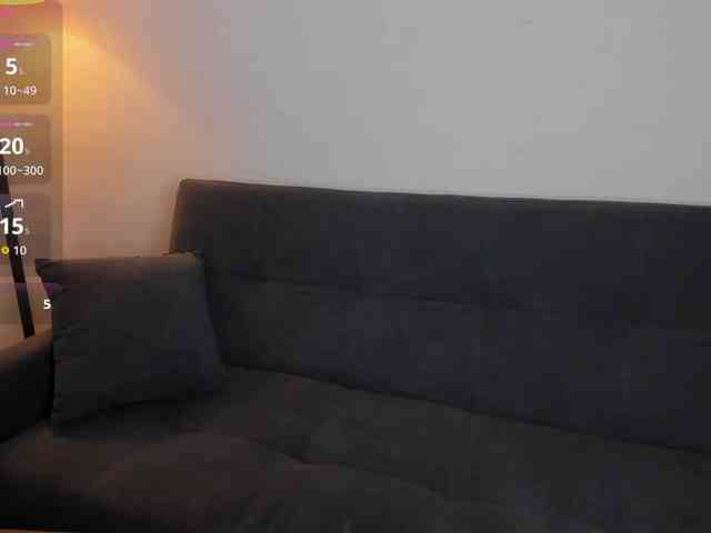 MariaSim webcam