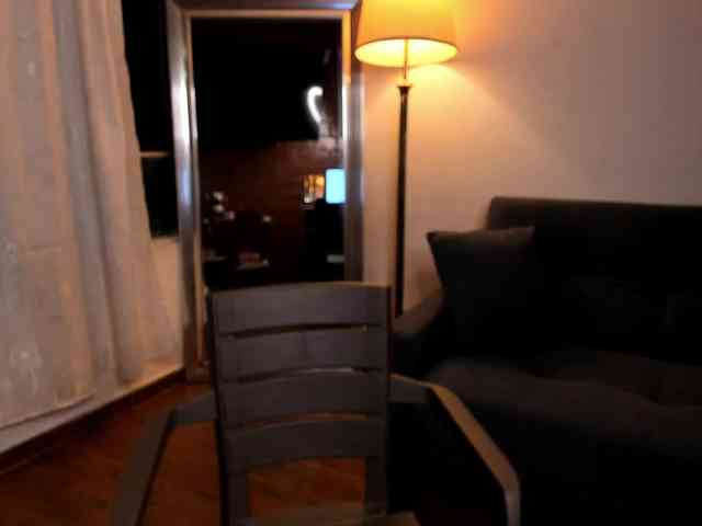 MariaSim webcam