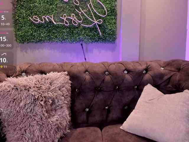 MariaSim webcam