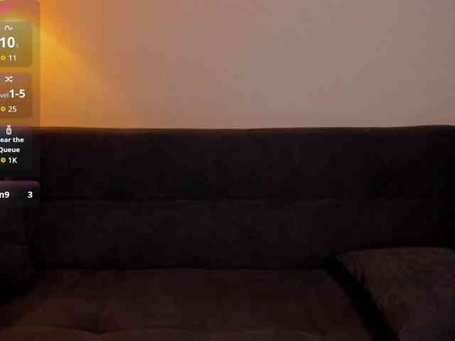MariaSim webcam