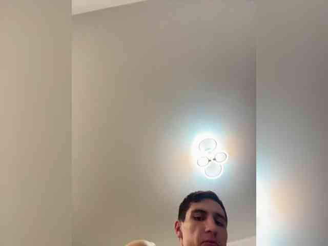 ArtYlaa