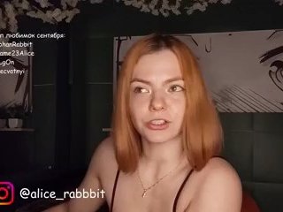 AliceRabbit
