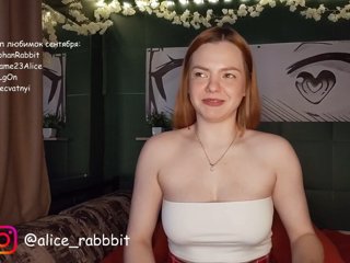 AliceRabbit