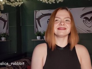 AliceRabbit