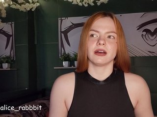 AliceRabbit