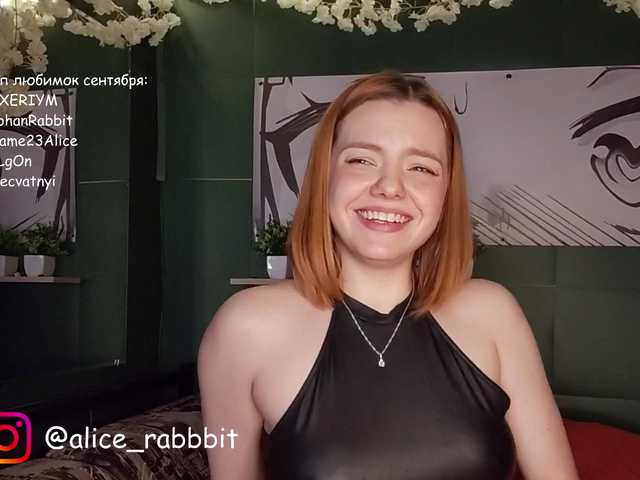 AliceRabbit