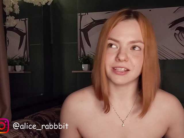 AliceRabbit