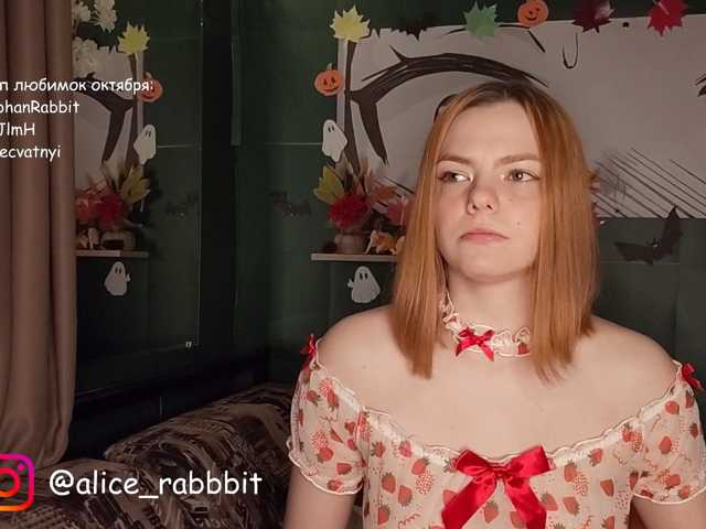 AliceRabbit