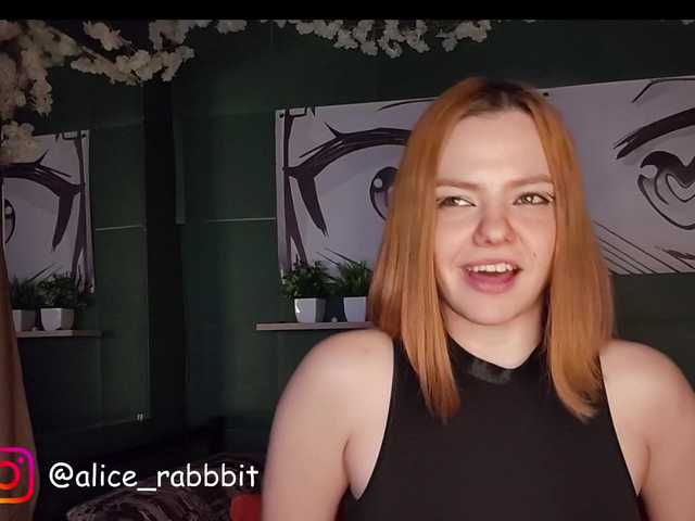 AliceRabbit