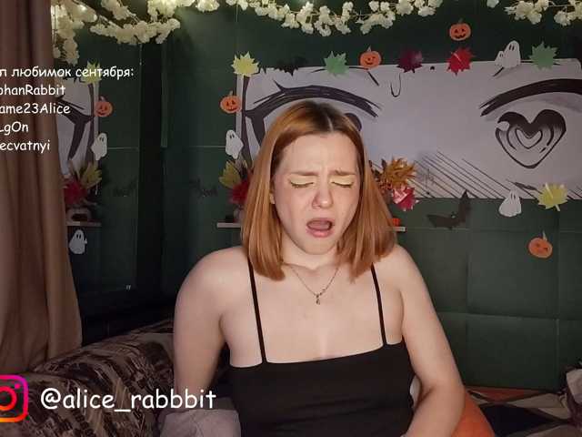 AliceRabbit