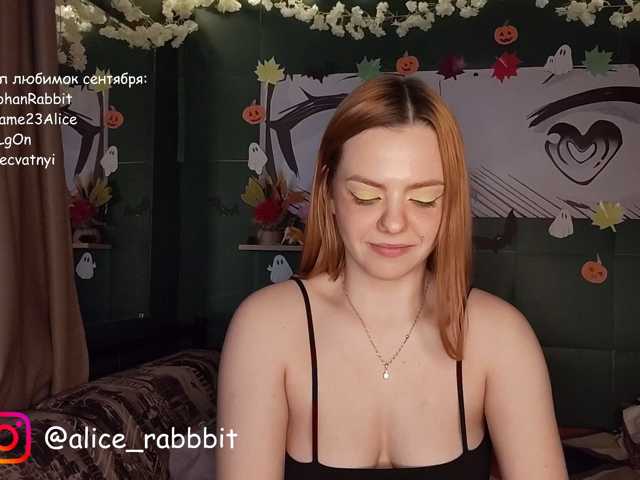 AliceRabbit