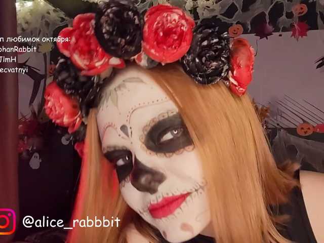 AliceRabbit