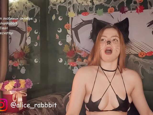 AliceRabbit