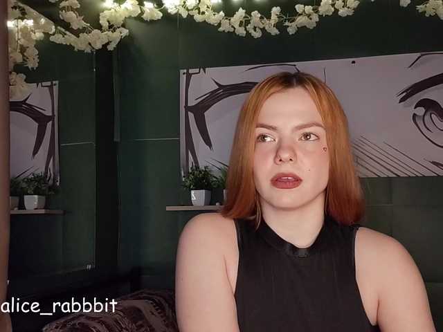 AliceRabbit