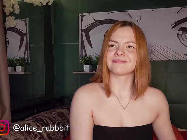 AliceRabbit