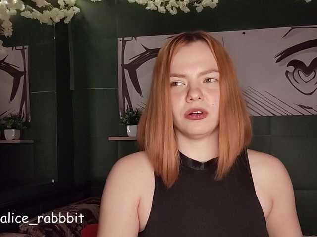 AliceRabbit
