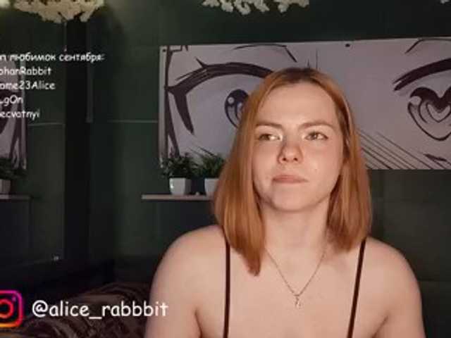 AliceRabbit