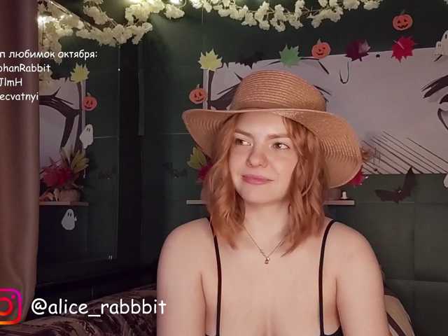 AliceRabbit