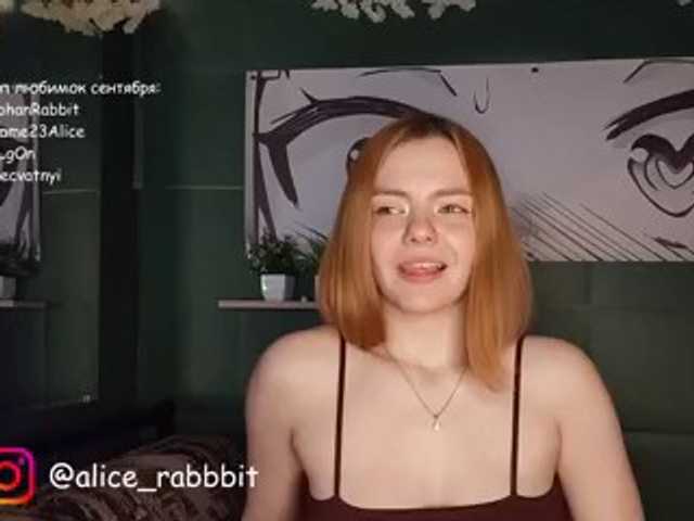 AliceRabbit