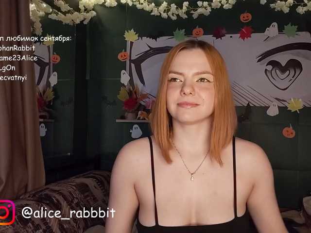 AliceRabbit
