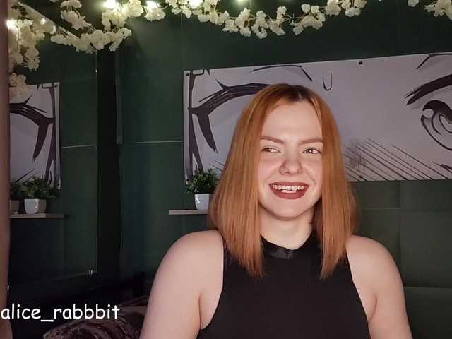 AliceRabbit