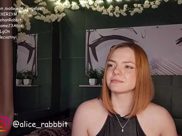 AliceRabbit
