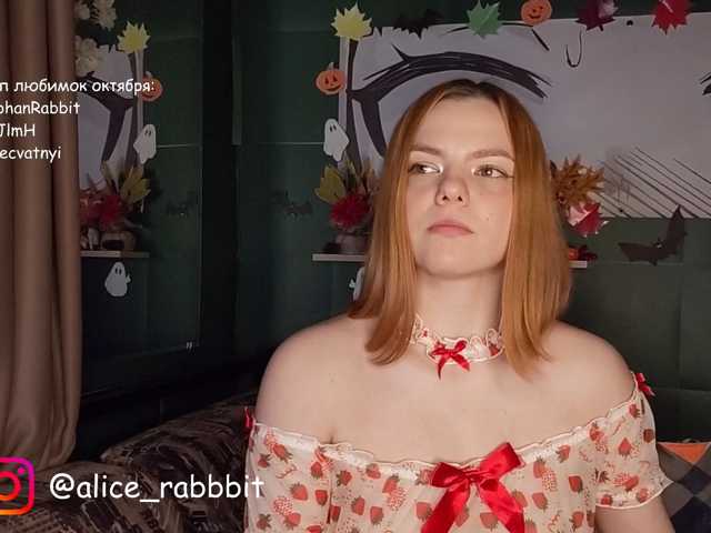 AliceRabbit