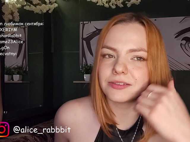 AliceRabbit