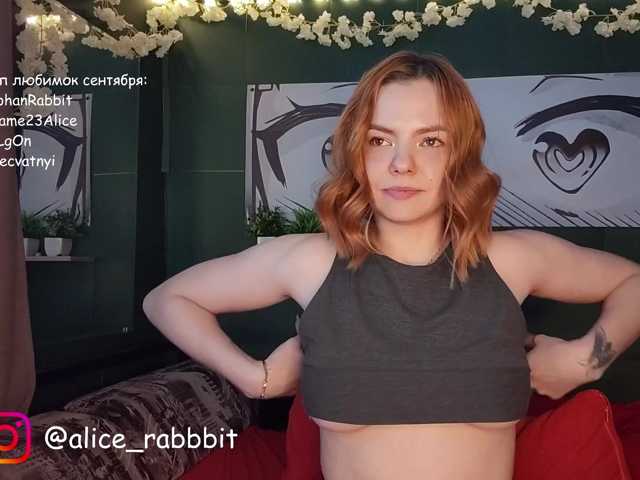 AliceRabbit