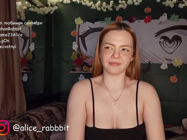 AliceRabbit