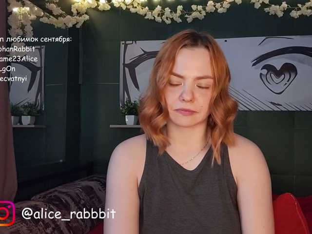 AliceRabbit